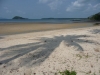 koh-mak-island-26