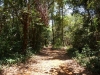 koh-mak-island-33