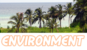 Environment